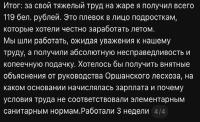 Як школьнікі працавалі ў Аршанскім лясгасе: ім абяцалі заробак пад тысячу, а заплацілі капейкі