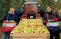 У прыцягненні моладзі да сельгасработ прысутнічаюць элементы прымусовай працы