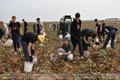 На цяплічным камбінаце «Рудакова» бракуе гароднінаводаў. Каб ліквідаваць праблему, перакваліфікавалі групу навучэнцаў каледжа