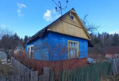На аўкцыён выставілі лецішча наваполацкага актывіста Андрэя Зуева, асуджанага завочна