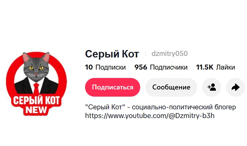 IПрызнаны “экстрэмісцкім” Tiktok-акаўнт экс-палітвязня, блогера Дзмітрыя Казлова