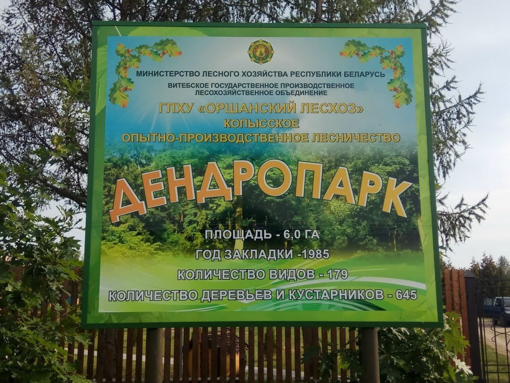 IАршанскі райвыканкам зняў з уліку два помнікі прыроды. Наўрад ці гэта паспрыяе развіццю турызму