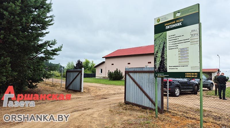 IПа версіі “Аршанскай газеты”, падлеткі, якім мала заплацілі за працу ў лясгасе, няправільна зразумелі абяцанне вялікіх заробкаў